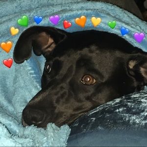 Meet your Posher, Jillian